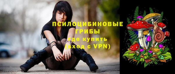 ПСИЛОЦИБИНОВЫЕ ГРИБЫ Абдулино